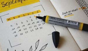 coaching plan de accion