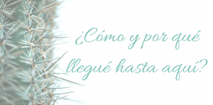 ¿Cómo y por qué llegué hasta aquí_ (1)