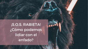 Lidiar con el enfado