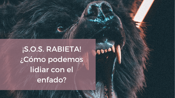 Lidiar con el enfado